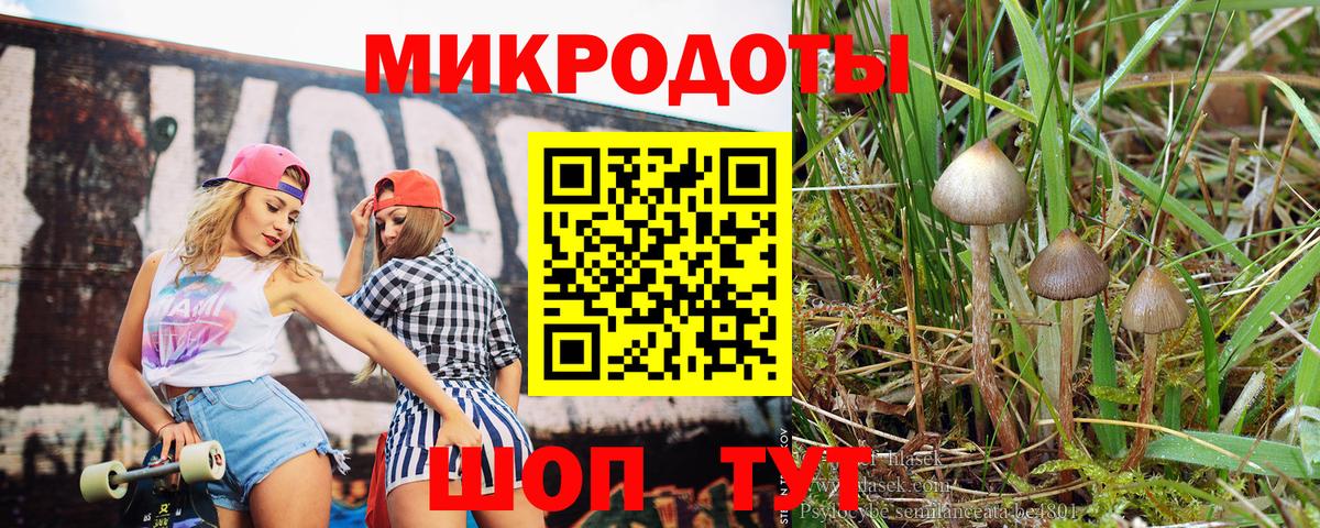 Псилоцибиновые грибы Psilocybe  купить наркотик  Алатырь  Вход с VPN 